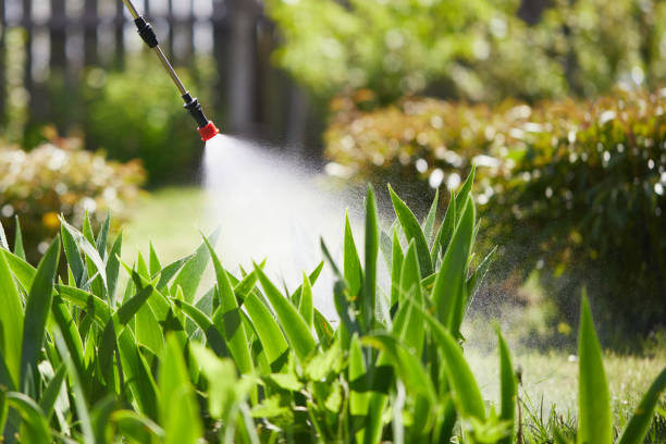 Tamper-Resistant Bait Stations for Rodents in Laguna Woods
